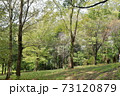 公園 73120879