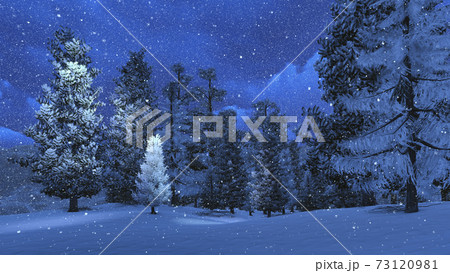 Winter night in snowy pine forest 3D illustration 73120981
