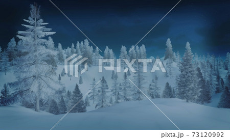 Snowy spruce forest at dark winter night 3D image 73120992