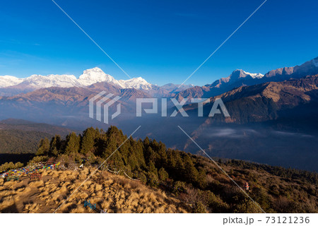 Nature view of Himalayan mountain range at Poon hill view point in Nepal Nature view of Himalayan mountain range at Poon hill view point in Nepal 73121236