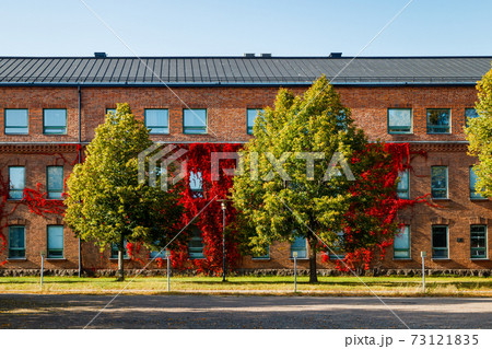 Autumnal view of red brick building covered by red foliage of parthenocissus. 73121835
