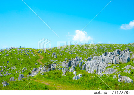 カルスト台地の秋吉台 カルスト台地の秋吉台 73122705