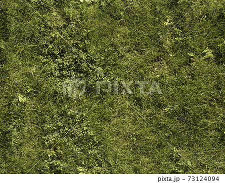 カナダ 緑色の芝生 カナダ 緑色の芝生 73124094