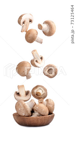 Falling mushrooms isolated on white backgrounds. Falling mushrooms isolated on white backgrounds. 73125464