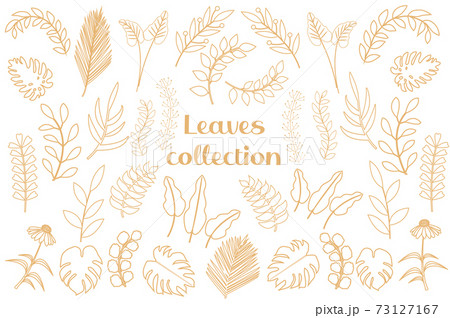 Modern golden tropical leaves Set, palm, monstera. Scandinavian minimalism in line style, sketches of plants, flowers for design. Vector illustration Modern golden tropical leaves Set, palm, monstera. Scandinavian minimalism in line style, sketches of plants, flowers for design. Vector illustration 73127167