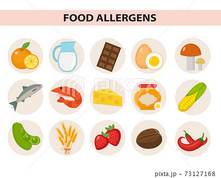 Food allergen icon set flat style. Allergy products, meal allergies. Isolated on white background. Vector illustration Food allergen icon set flat style. Allergy products, meal allergies. Isolated on white background. Vector illustration 73127168
