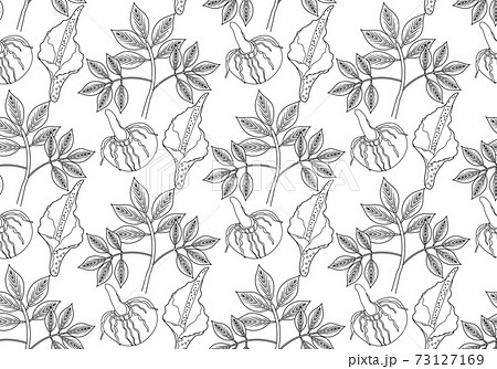 Amorphophallus konjac plant seamless pattern hand drawing outline line style. Konjak repeating texture, endless background. Vector illustration Amorphophallus konjac plant seamless pattern hand drawing outline line style. Konjak repeating texture, endless background. Vector illustration 73127169