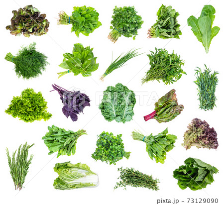 set of various f bundles of garden greens cut out set of various f bundles of garden greens cut out 73129090