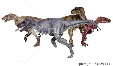 ティラノサウルスの眷属画像向かって左から アレクトロ ティラノ ダスプレト アルバートの4種類 のイラスト素材