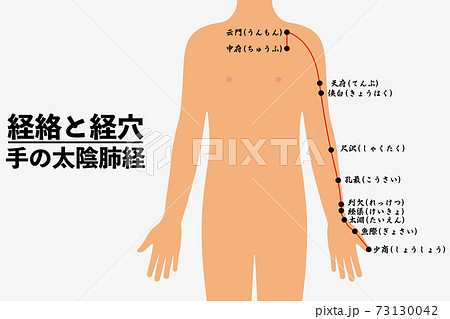 経絡とツボ＿手の太陰肺経 73130042