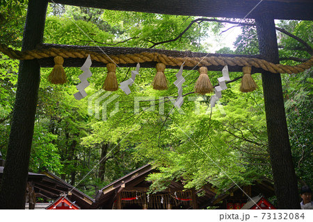 野宮神社の黒木鳥居-1 野宮神社の黒木鳥居-1 73132084