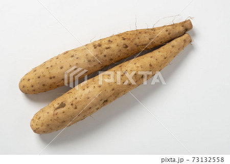 新鮮で美味しい山芋 73132558