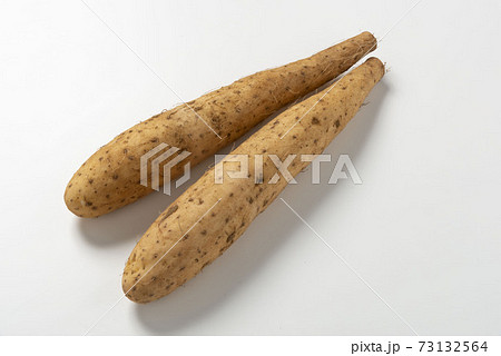 新鮮で美味しい山芋 新鮮で美味しい山芋 73132564