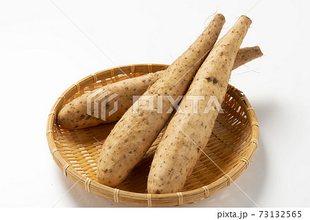 新鮮で美味しい山芋 新鮮で美味しい山芋 73132565