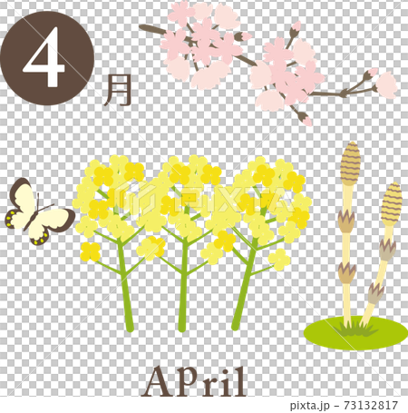 4月の素材 73132817
