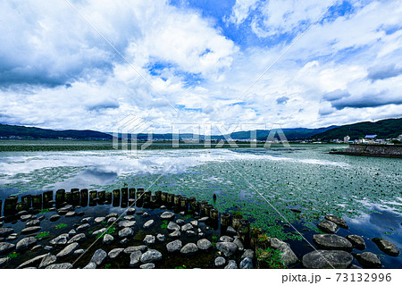 諏訪湖の青空と浮かぶ水草 73132996