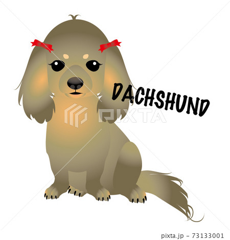 犬　ダックスフント 73133001