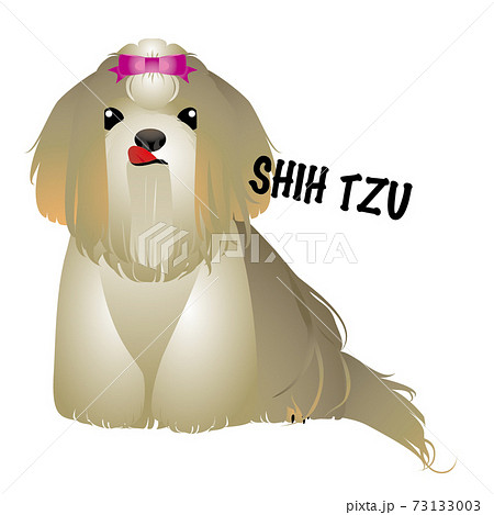 犬　シーズー 73133003