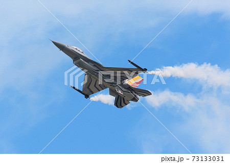 ベルギー空軍F-16AMディスプレイチーム 73133031