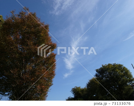 秋の雲 73133076