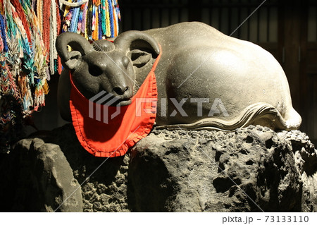 牛嶋神社の牛 2021 丑年 牛嶋神社の牛 2021 丑年 73133110