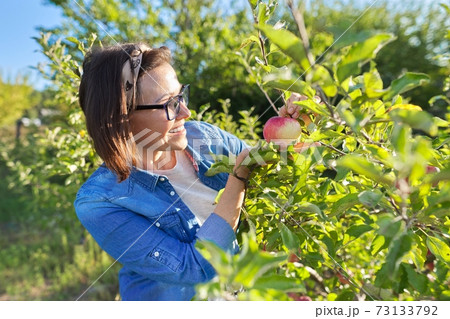 Woman in an sun apple orchard holds red ripe apple in her hand, copy space Woman in an sun apple orchard holds red ripe apple in her hand, copy space 73133792
