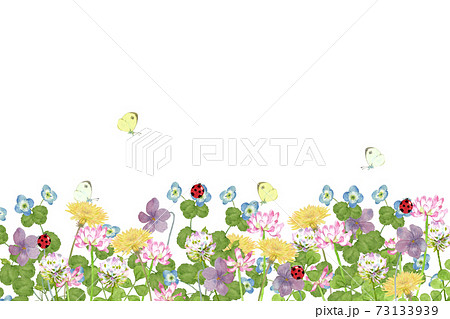 봄의 꽃과 벌레의 풍경 수채화 일러스트 - 스톡일러스트 [73133939] - Pixta
