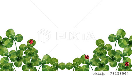四つ葉のクローバーとテントウムシ 73133944