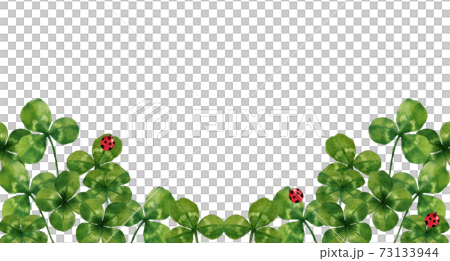  Four leaf clover and ladybird 73133944