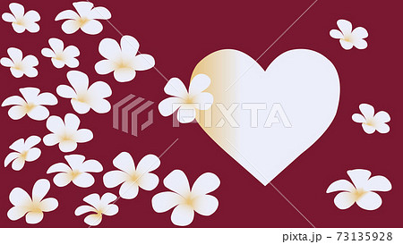 Floral seamless pattern. White plumeria flowers isolated on background 73135928