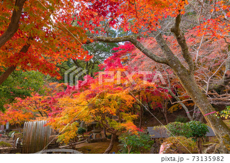 三次市尾関山の紅葉 三次市尾関山の紅葉 73135982