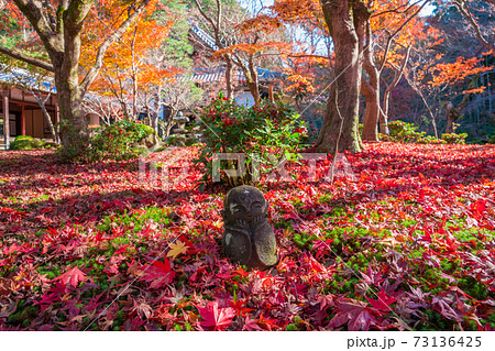 京都　圓光寺の散紅葉とわらべ地蔵　 73136425