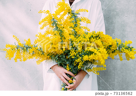 ミモザの花束を持つ女性の写真素材