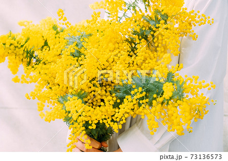 ミモザの花束を持つ女性の写真素材