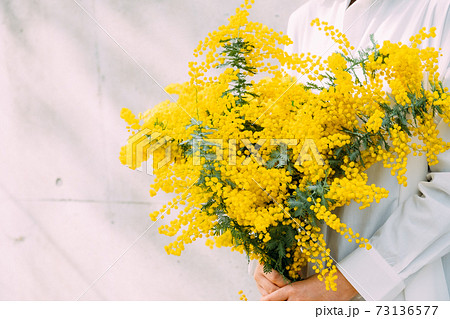 ミモザの花束を持つ女性の写真素材