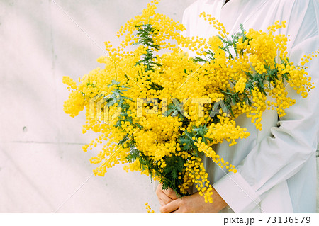 ミモザの花束を持つ女性の写真素材