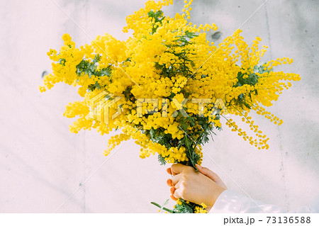 ミモザの花束を持つ女性の写真素材