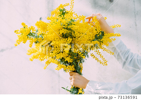 ミモザの花束を持つ女性の写真素材