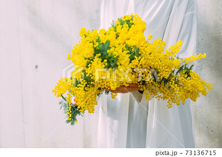 ミモザの花束を持つ女性の写真素材