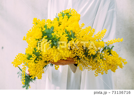 ミモザの花束を持つ女性の写真素材