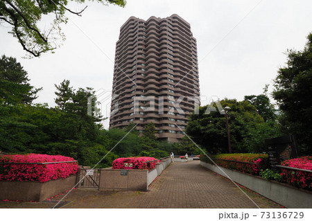 御殿山庭園 新緑 つつじ 池 御殿山庭園 新緑 つつじ 池 73136729