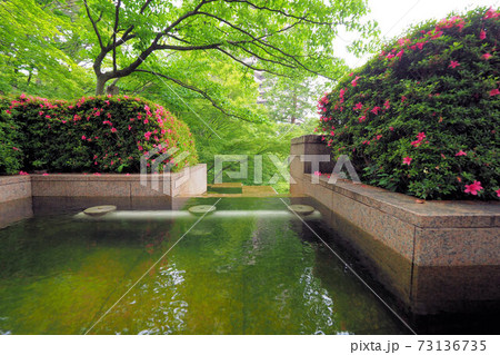 御殿山庭園 新緑 つつじ 池 噴水 御殿山庭園 新緑 つつじ 池 噴水 73136735