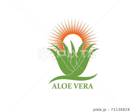 aloevera logo icon vector illustration design 73136828
