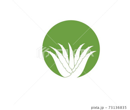 aloevera logo icon vector illustration design 73136835