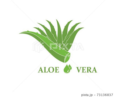 aloevera logo icon vector illustration design 73136837