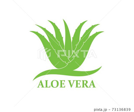 aloevera logo icon vector illustration design 73136839