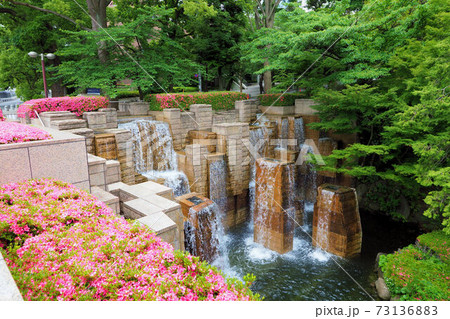 御殿山庭園 新緑 つつじ 池 噴水 御殿山庭園 新緑 つつじ 池 噴水 73136883