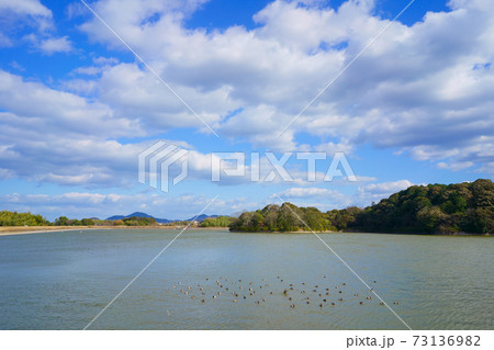 野鳥　冬のため池(香川県亀鶴公園) 73136982