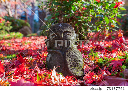 京都　圓光寺の散紅葉とわらべ地蔵　 73137761