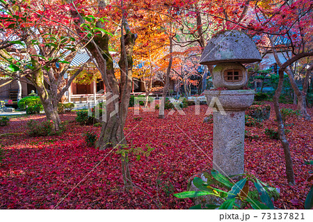 京都 晩秋の圓光寺 散紅葉 京都 晩秋の圓光寺 散紅葉 73137821